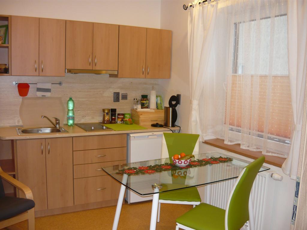 Apartments - Penzion Lena Hradec Králové Kültér fotó