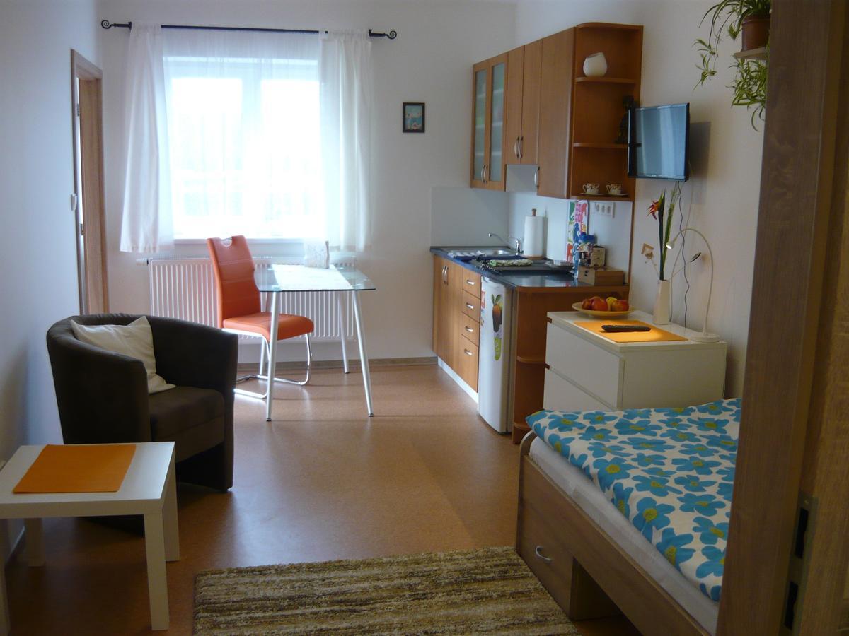 Apartments - Penzion Lena Hradec Králové Kültér fotó