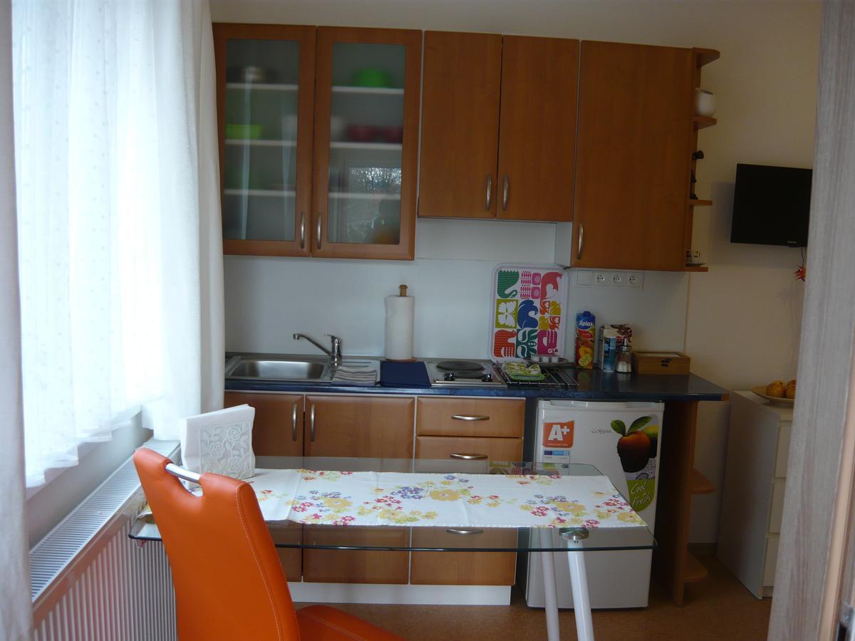 Apartments - Penzion Lena Hradec Králové Kültér fotó